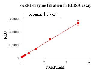 PARP1, His Tag Protein