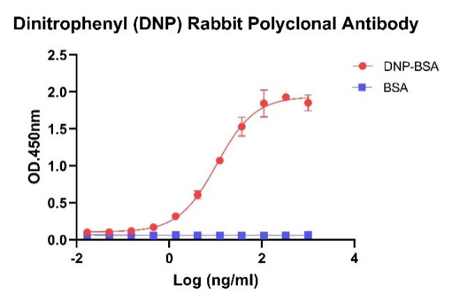 Dinitrophenyl (DNP) Rabbit Polyclonal Antibody