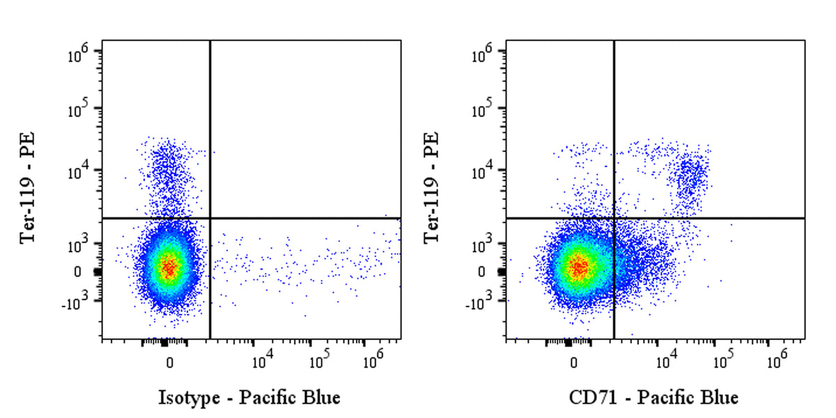 Pacific Blue Rat Anti-Mouse CD71 Antibody (RI7217)