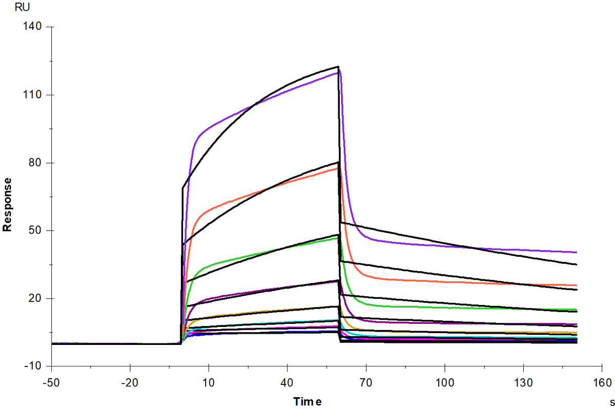 SIRP-α/CD172a His Tag Protein, Cynomolgus