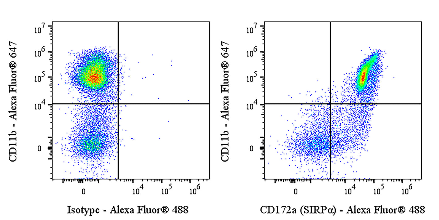 Invivo Anti-Mouse CD172a (SIRPα) Recombinant mAb