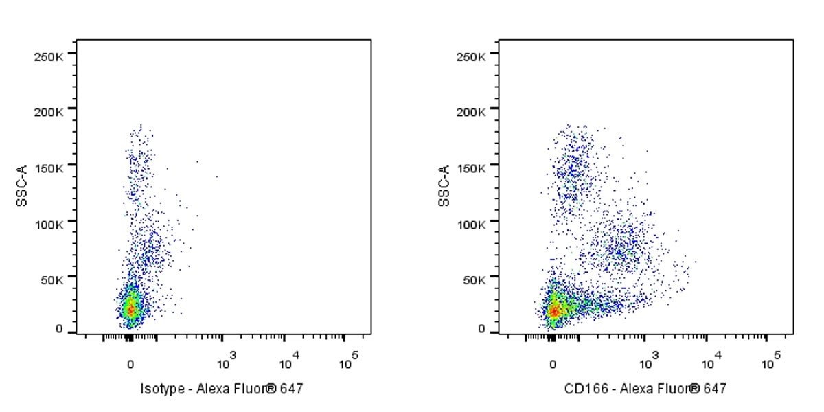 Mouse Anti-Human CD166 Antibody (S-2869)