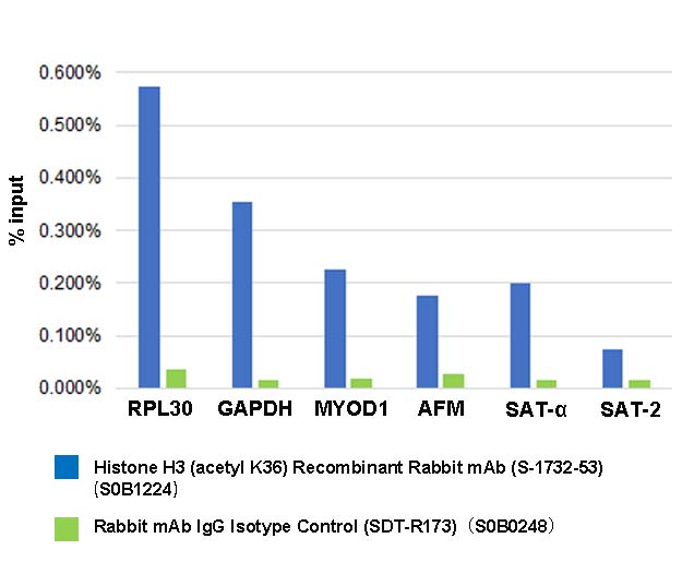 Histone H3 (acetyl K36) Recombinant Rabbit mAb (S-1732-53)