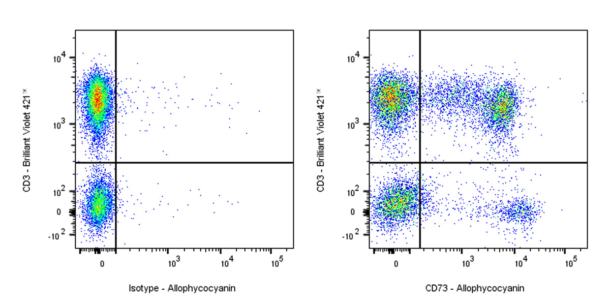 APC Mouse Anti-Human CD73 Antibody (S-715-115)