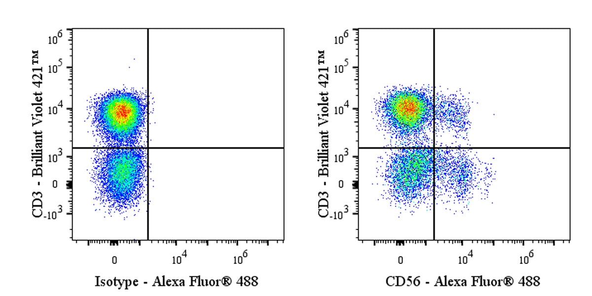 Alexa Fluor® 488 Mouse Anti-Human CD56 Antibody (S-577-58)