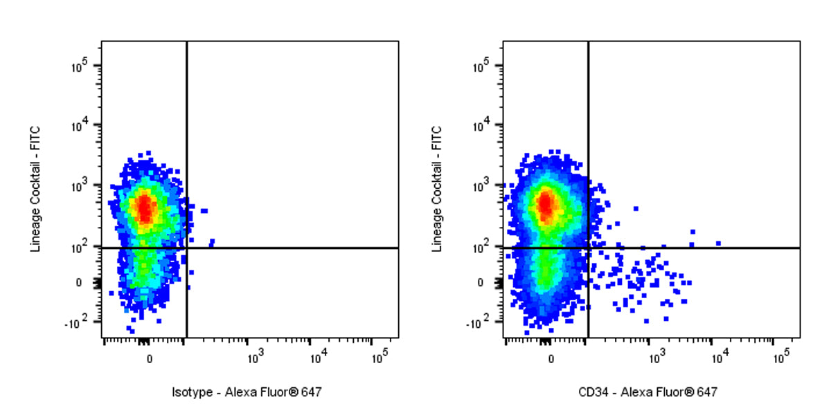 Mouse Anti-Human CD34 Antibody (S-2802)