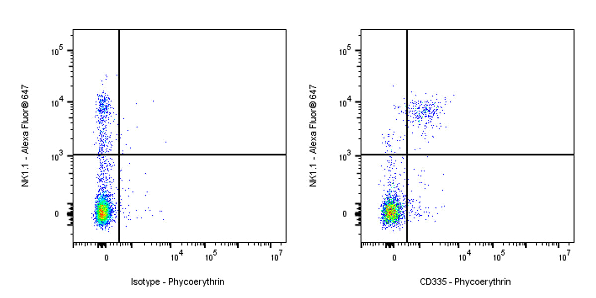 PE Rat Anti-Mouse CD335 Antibody (S-R613)