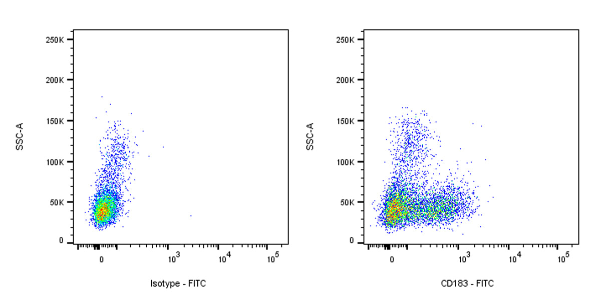 FITC Mouse Anti-Human CD183 Antibody (S-R583)