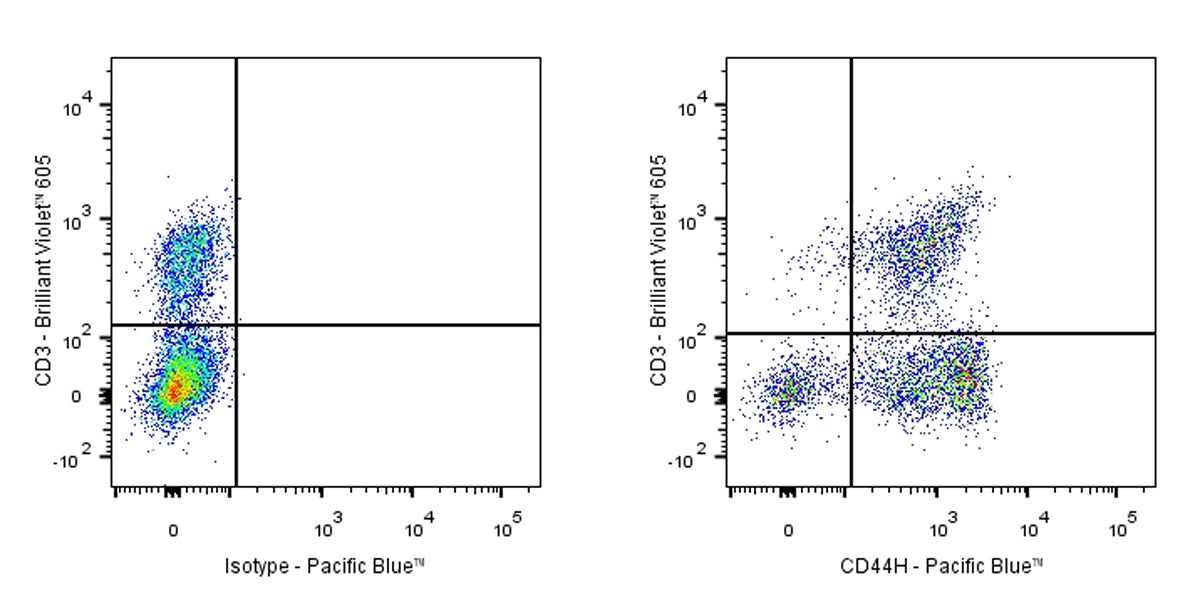 Pacific Blue Mouse Anti-Rat CD44H Antibody (OX-49)