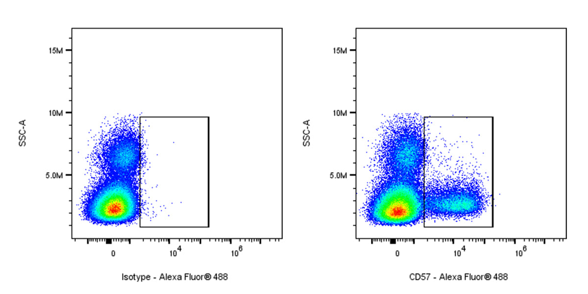 Alexa Fluor® 488 Mouse Anti-Human CD57 Antibody (S-3011)