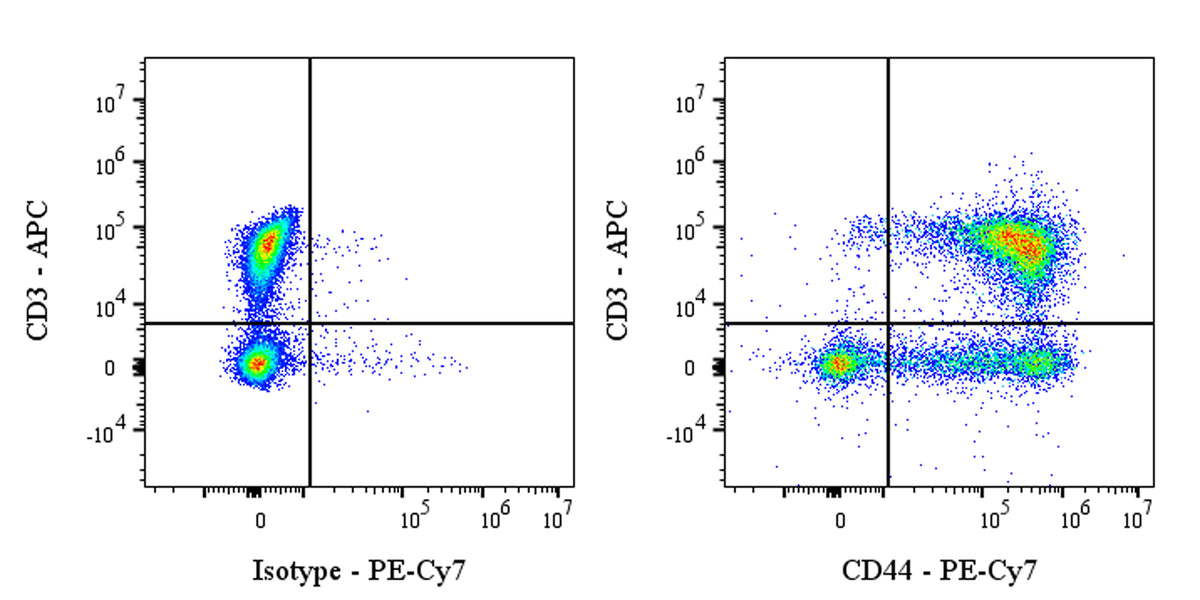 PE-Cy7 Mouse Anti-Rat CD44H Antibody (OX-49)