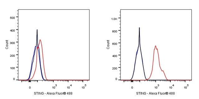 STING Recombinant Rabbit mAb (S-1392-33)