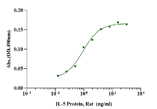 IL-5 Protein, Rat