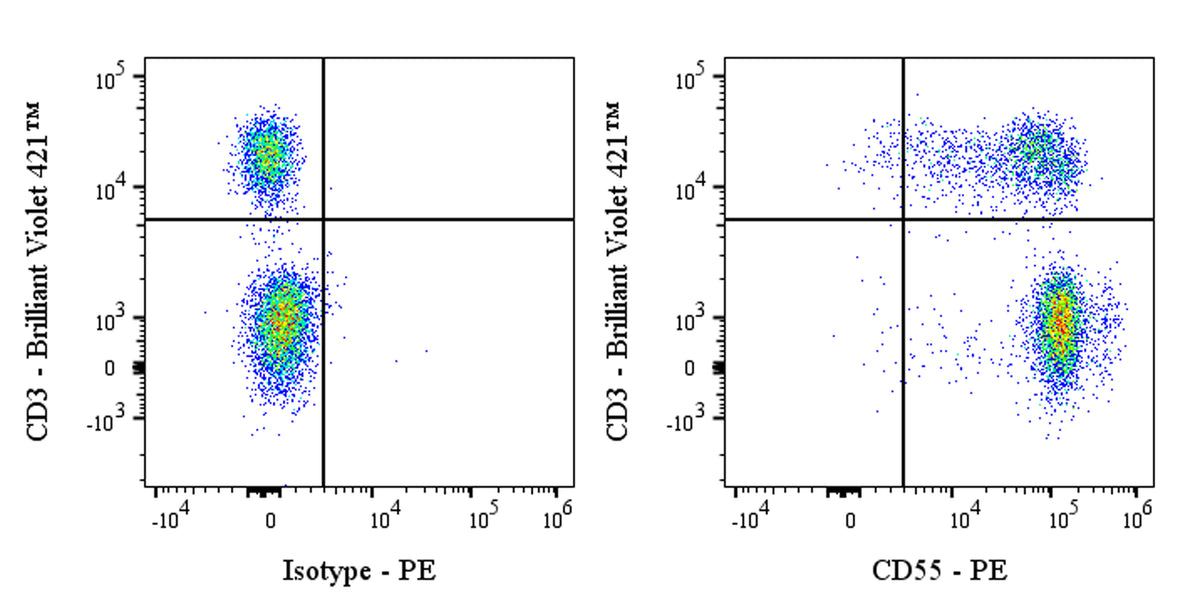 PE Mouse Anti-Human DAF/CD55 Antibody (S-628-48)