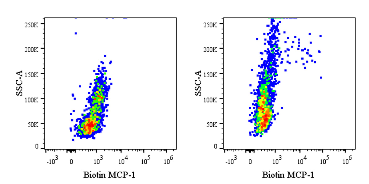 Biotin Mouse Anti-Human MCP-1/CCL2 Antibody (5D3-F7)