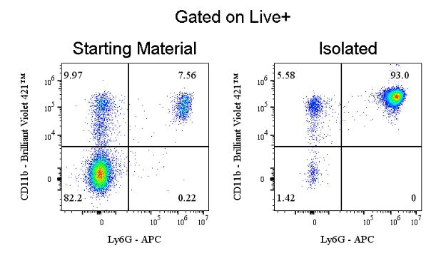 Mouse Neutrophil Isolation Kit (Column-Based)