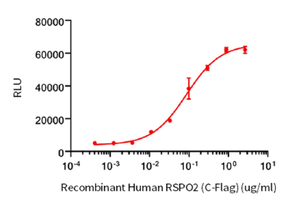 RSPO2 C-Flag Protein,Human