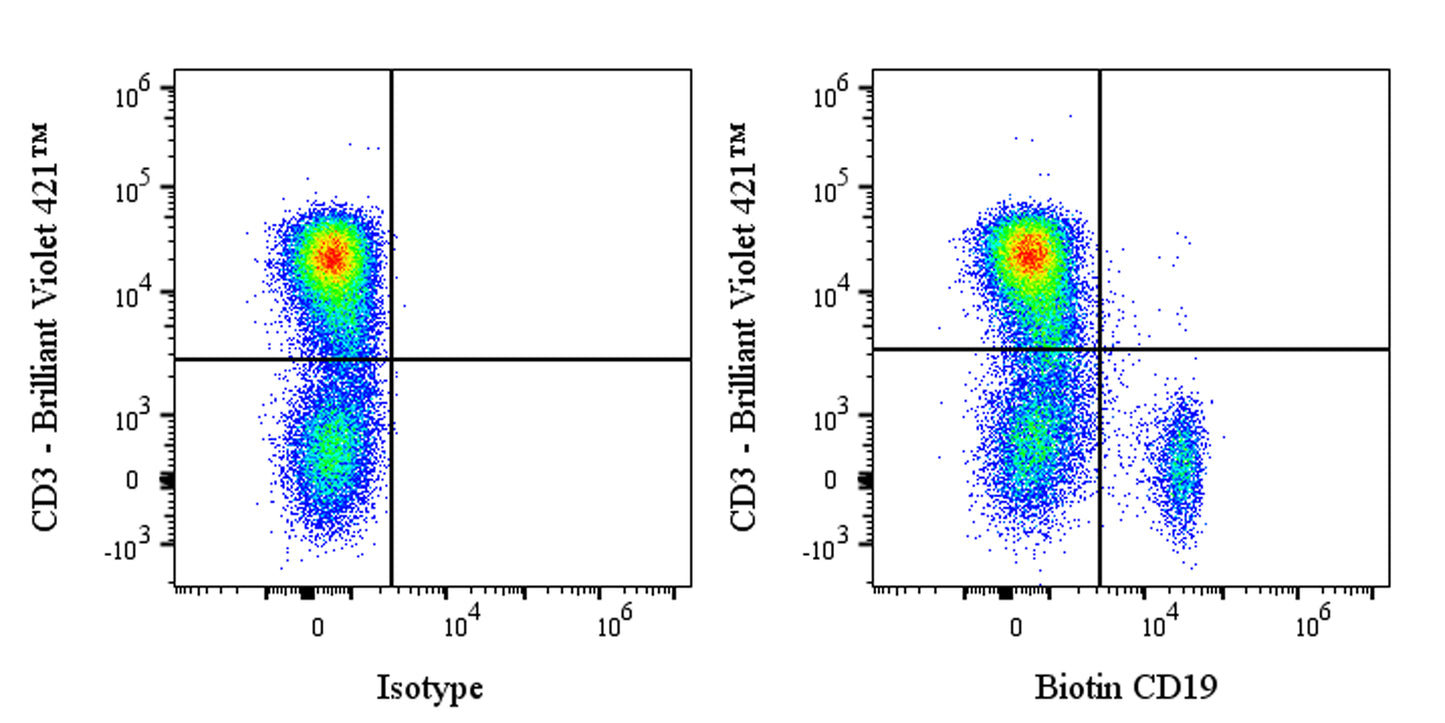 Biotin Mouse Anti-Human CD19 Antibody (4G7)