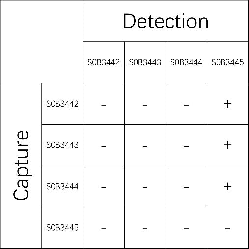 Mouse IgE Recombinant Rabbit mAb (SDT-1497-52)