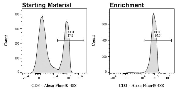 Anti-biotin Nanobeads