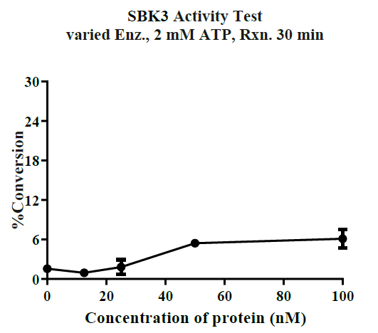SBK3 His&GST Tag Protein, Human