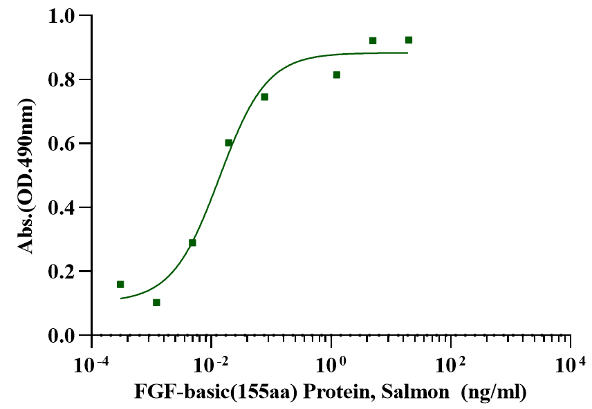 FGF-basic(155aa) Protein, Salmon