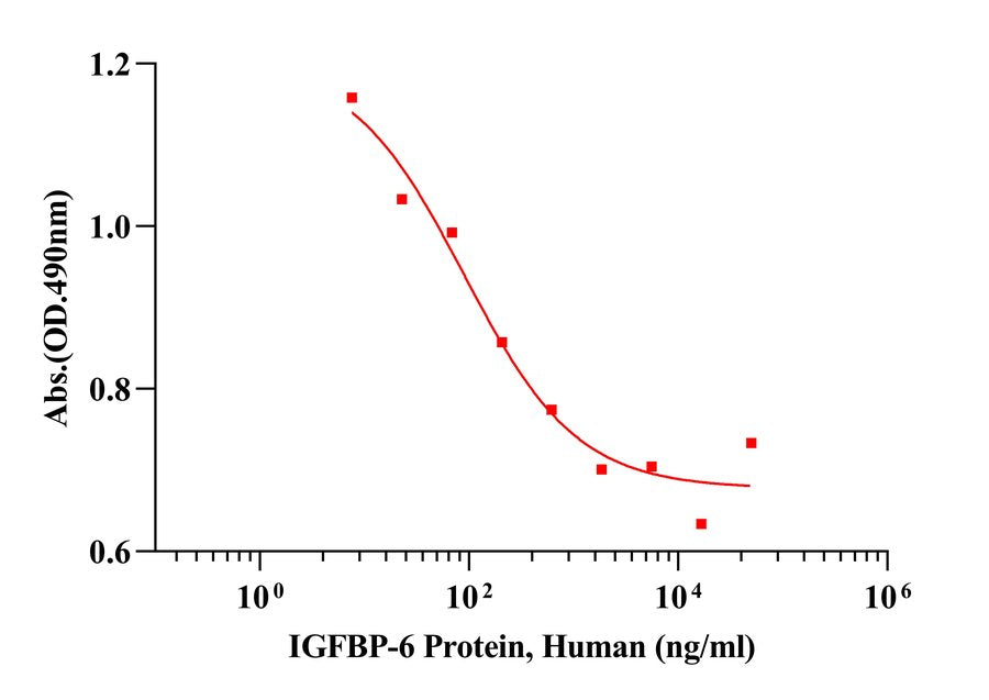 IGFBP-6 Protein, Human
