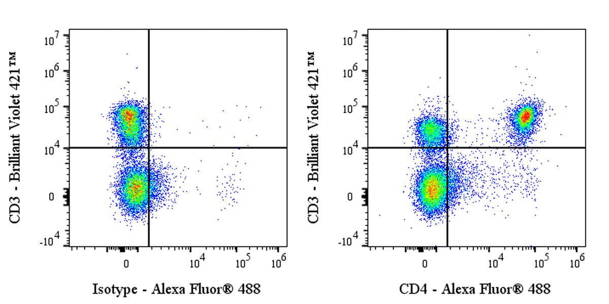 Invivo Anti-Mouse CD4 Recombinant mAb