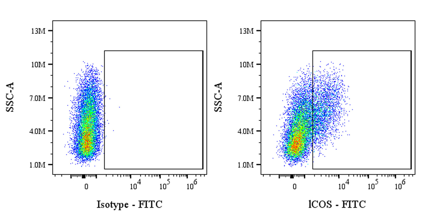 FITC Rat Anti-Mouse ICOS Antibody (7E.17G9)