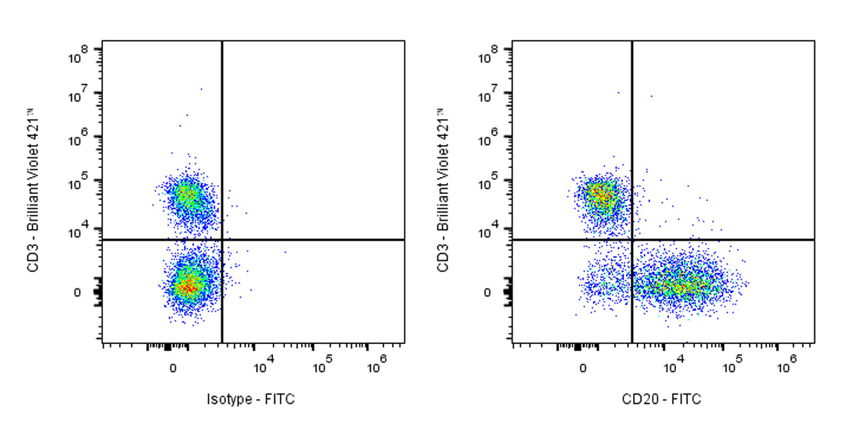FITC Mouse Anti-Mouse CD20 antibody (18B12)