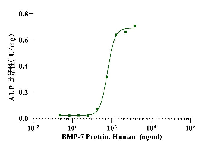 BMP-7 Protein, Human
