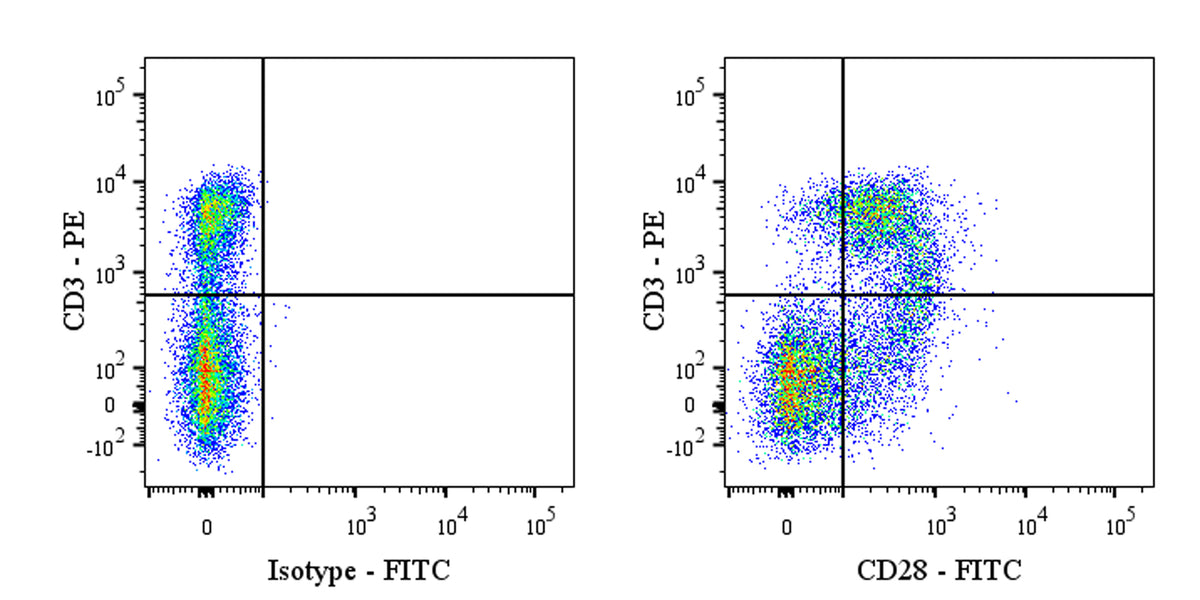 FITC Mouse Anti-Rat CD28 Antibody (JJ319)
