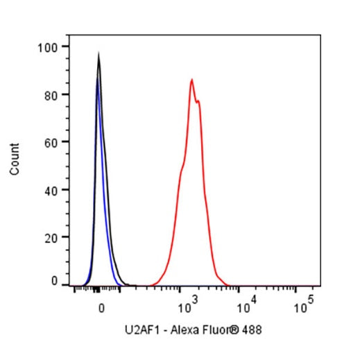 U2AF1 Recombinant Rabbit mAb (S-2384)