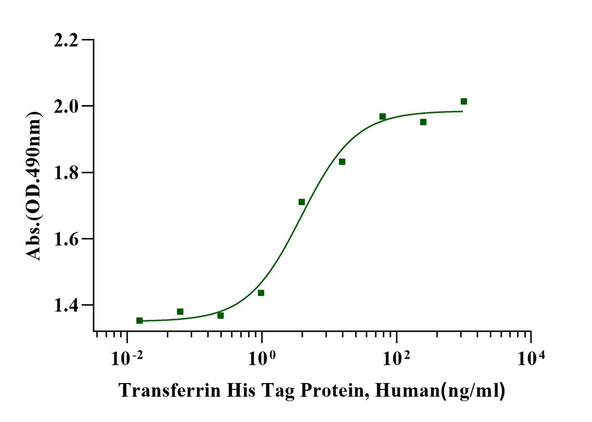 Transferrin His Tag Protein, Human