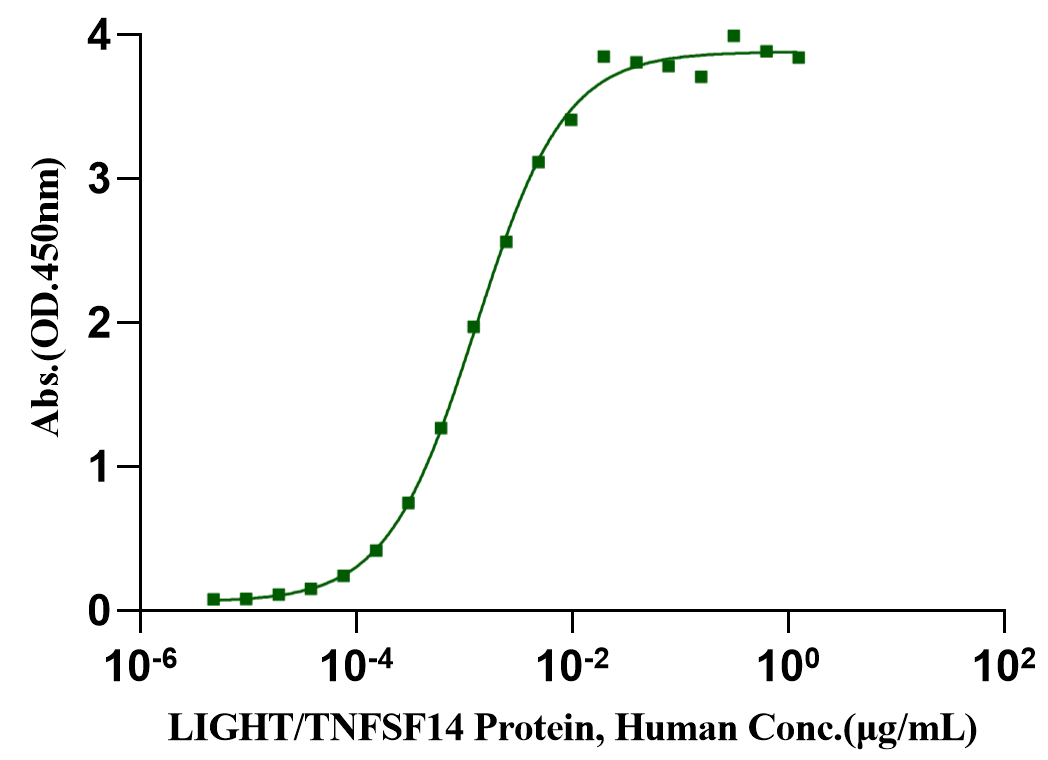 LIGHT/TNFSF14 Protein, Human