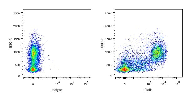 Anti-Biotin Recombinant Rabbit mAb (S-3083)