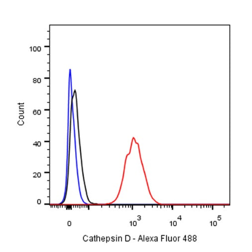 Cathepsin D Recombinant Rabbit mAb (S-R208)