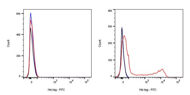 His tag (C-terminal) Recombinant Rabbit mAb (FITC Conjugate) (S-1398-10)