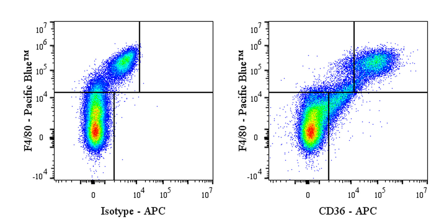 APC Armenian hamster Anti-Mouse CD36 Antibody (HM36)
