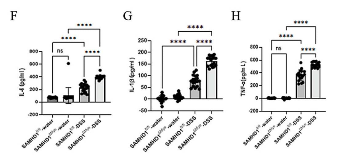 Mouse TNF-α ELISA Kit