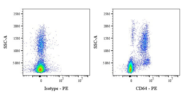 PE Mouse Anti-Human/ Monkey CD64 Antibody (10.1)