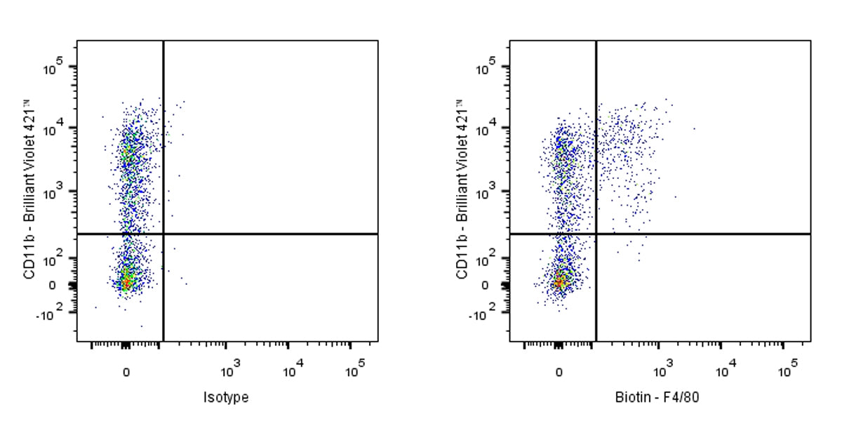 Biotin Rat Anti-Mouse F4/80 Antibody (S-R537)