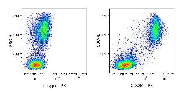 PE Mouse Anti-Human CD206 Antibody (15-2)