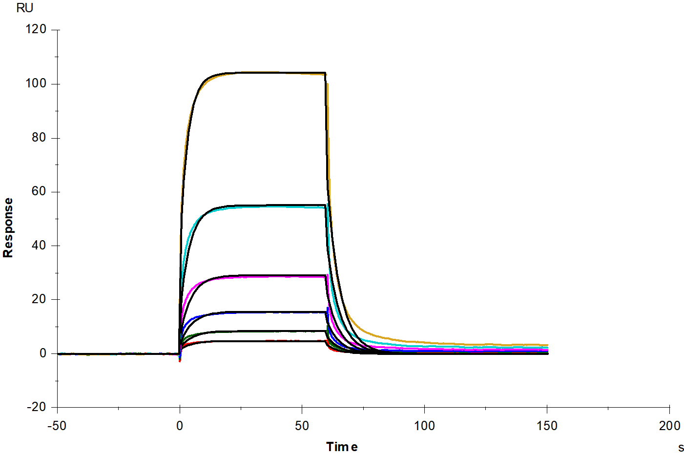 Fc γ RIIIB/CD16b (NA2) His Tag Protein, Human