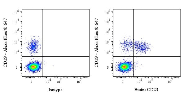 Biotin Mouse Anti-Human CD23 Antibody (EBVCS-5)