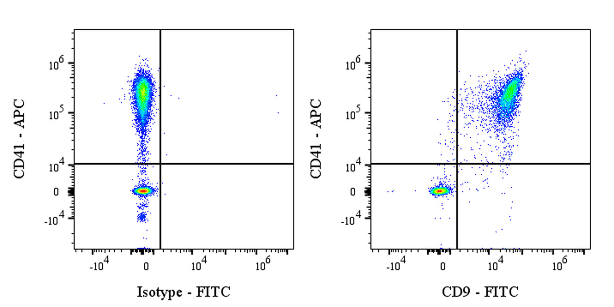 FITC Rabbit Anti-Human CD9 Antibody (S-143-53)