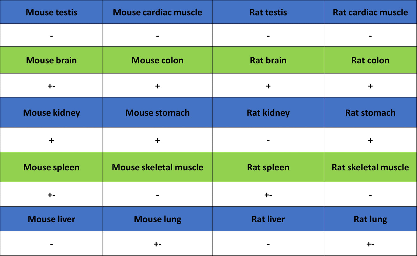 PAPSS1 Recombinant Rabbit mAb (S-3516-23)