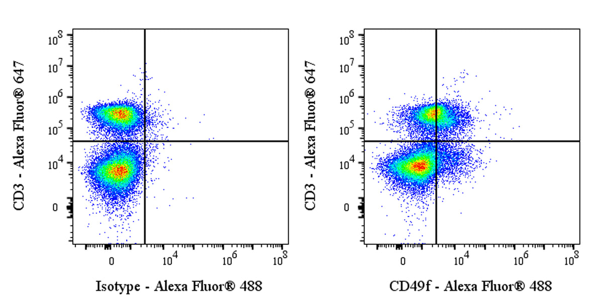 Alexa Fluor® 488 Rat Anti-Mouse/Human CD49f Antibody (GoH3)