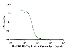 IL-18BP His Tag Protein, Cynomolgus