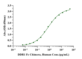 DDR1 Fc Chimera Protein, Human